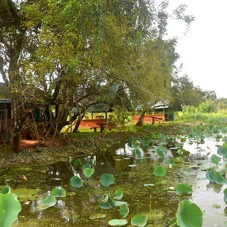 Meegahapokuna Resort Anuradhapura Eksteriør billede
