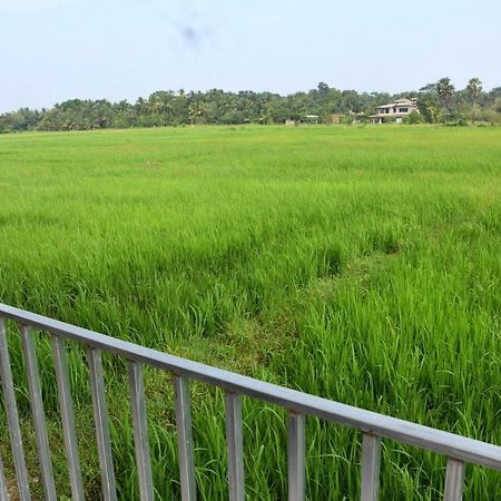 Meegahapokuna Resort Anuradhapura Eksteriør billede