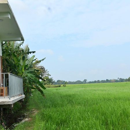 Meegahapokuna Resort Anuradhapura Eksteriør billede
