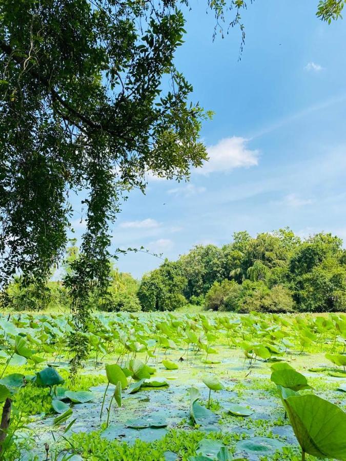 Meegahapokuna Resort Anuradhapura Eksteriør billede