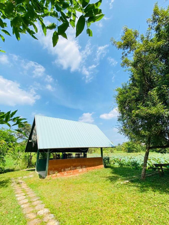 Meegahapokuna Resort Anuradhapura Eksteriør billede