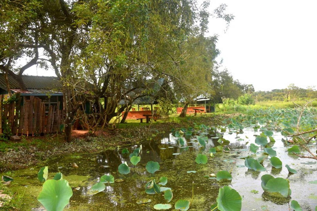 Meegahapokuna Resort Anuradhapura Eksteriør billede
