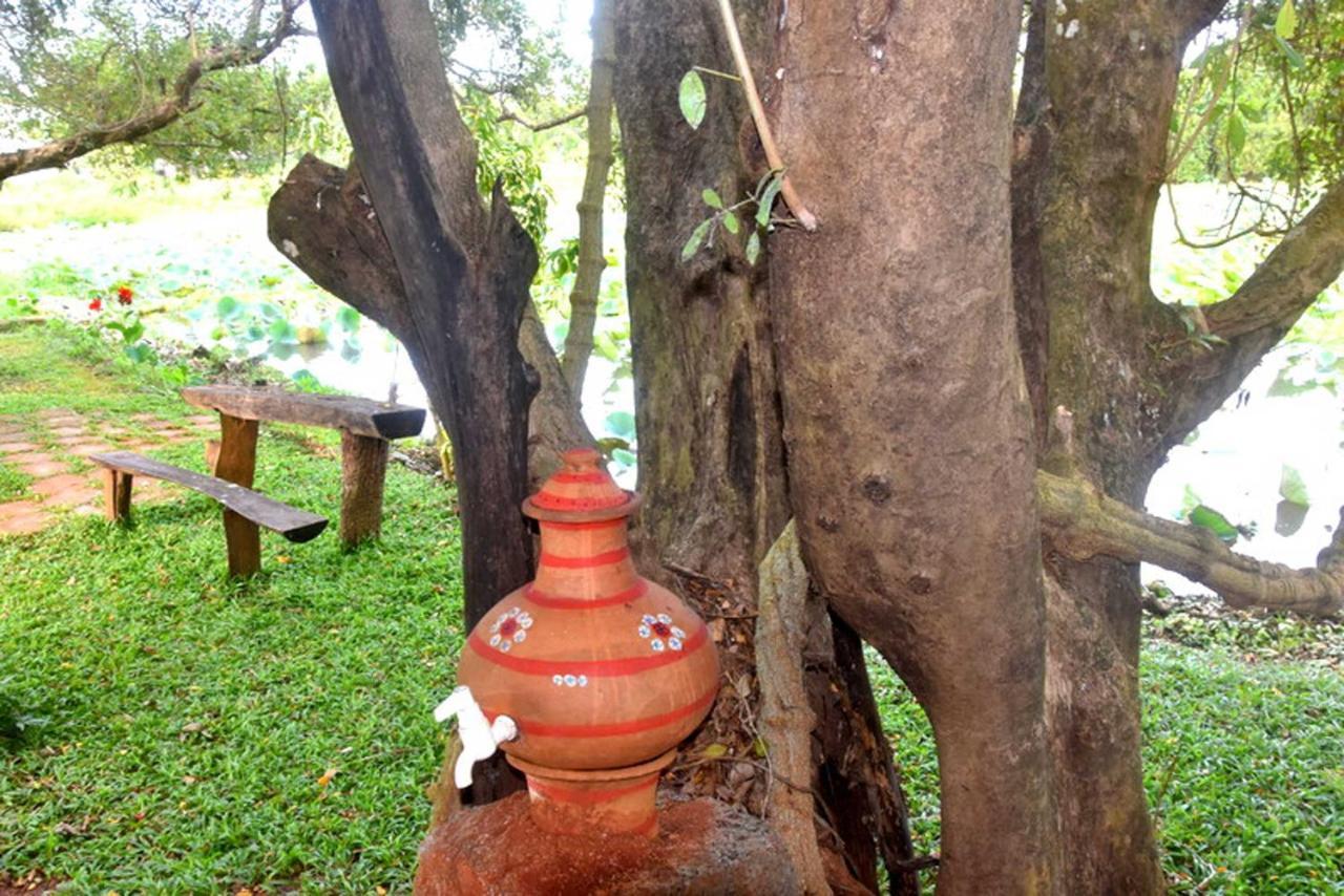 Meegahapokuna Resort Anuradhapura Eksteriør billede