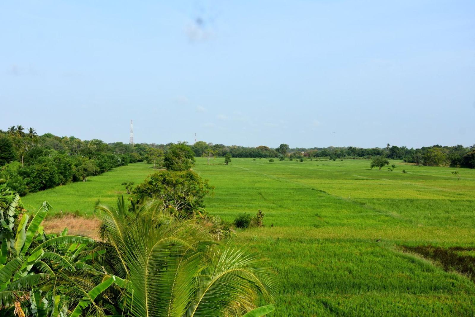 Meegahapokuna Resort Anuradhapura Eksteriør billede