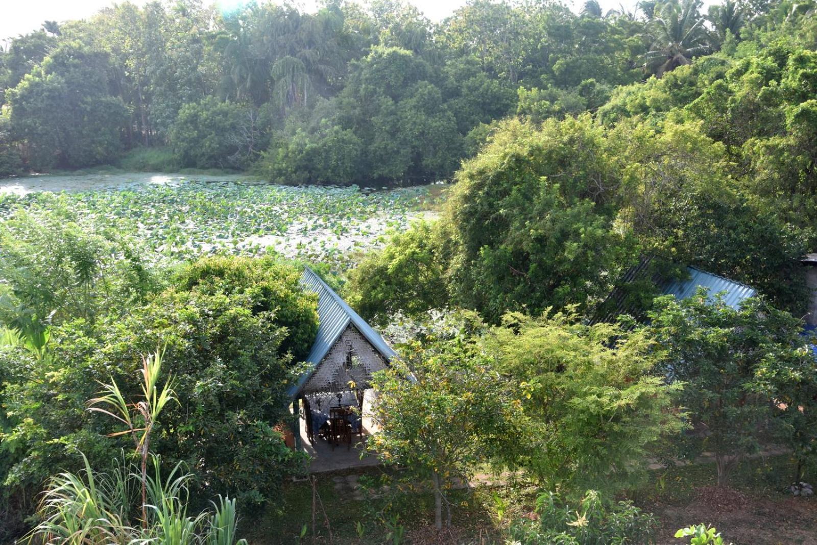 Meegahapokuna Resort Anuradhapura Eksteriør billede