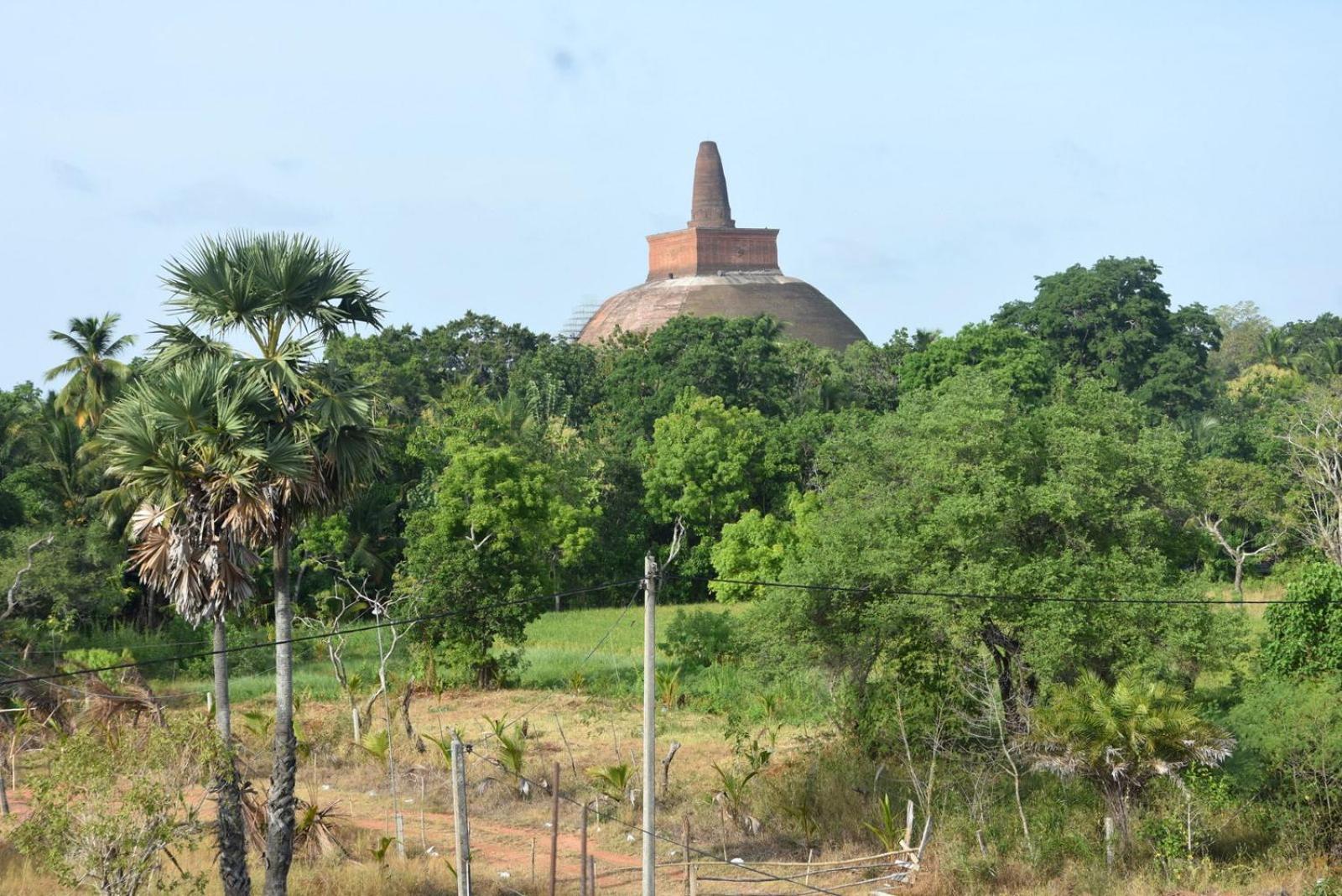 Meegahapokuna Resort Anuradhapura Eksteriør billede