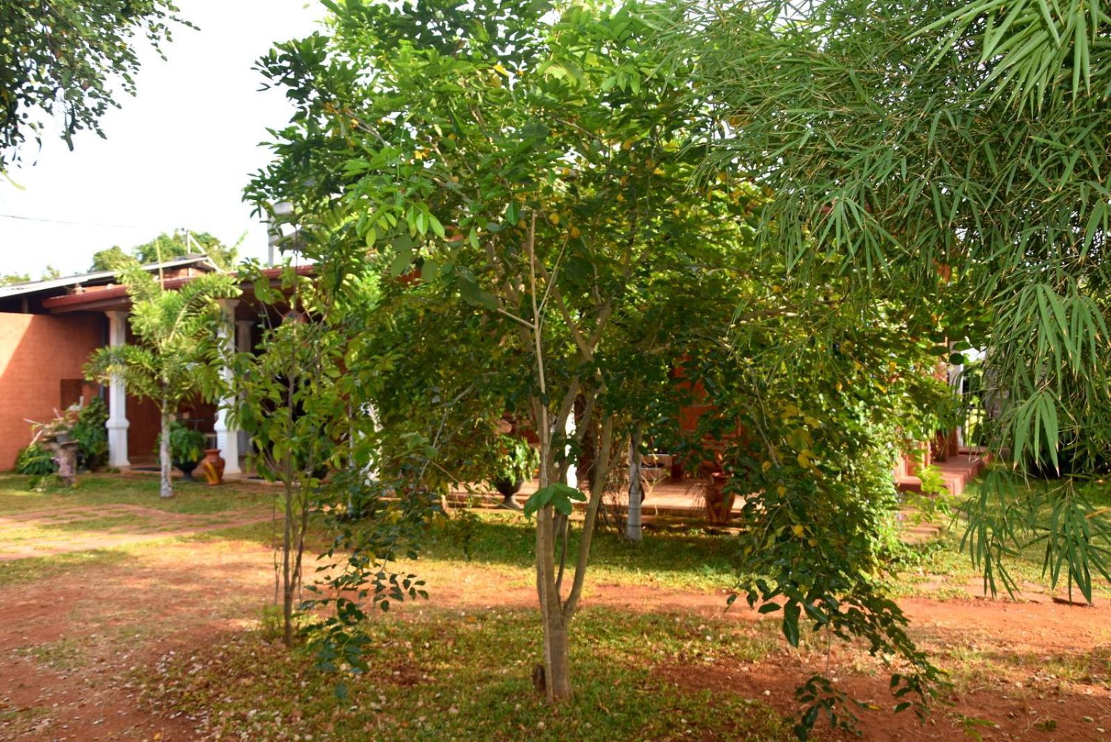 Meegahapokuna Resort Anuradhapura Eksteriør billede