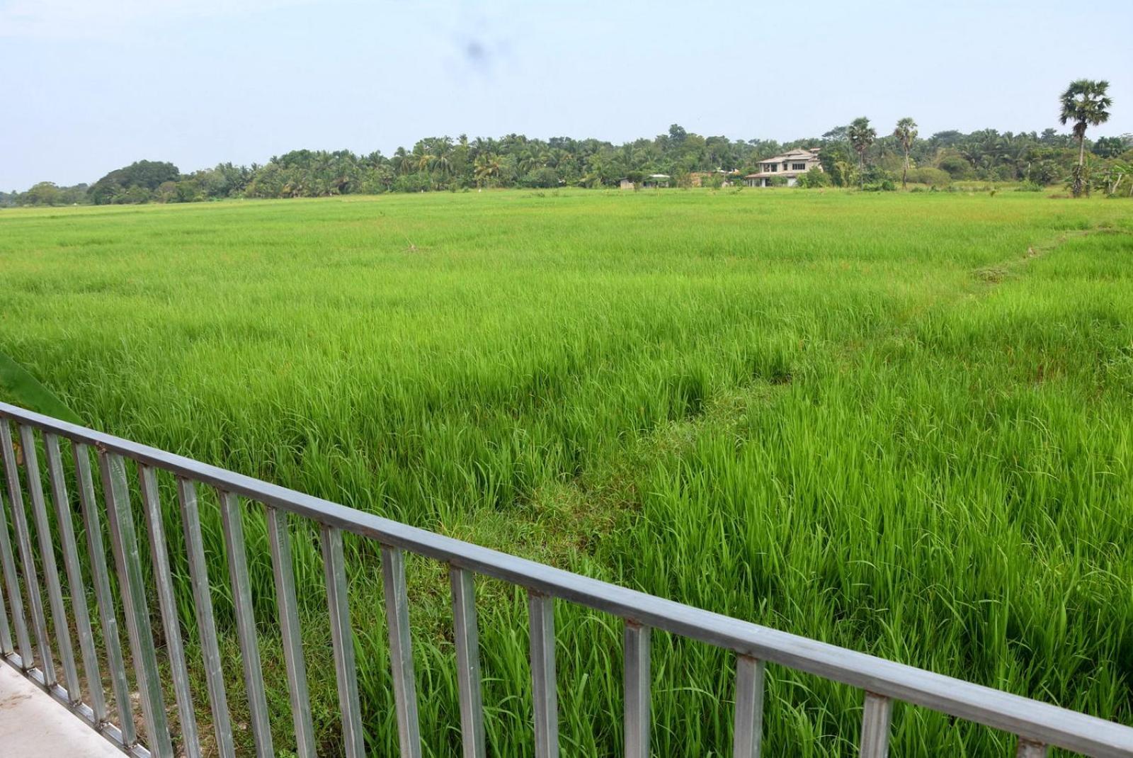 Meegahapokuna Resort Anuradhapura Eksteriør billede