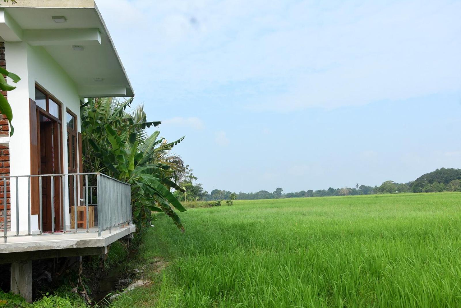 Meegahapokuna Resort Anuradhapura Eksteriør billede